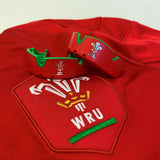 Silver Level Wales Rugby Mouthguard